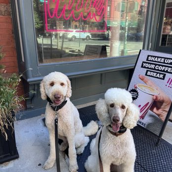 MILK BAR - Updated February 2026 - 711 Photos & 618 Reviews - 561