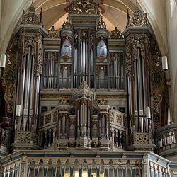 Predigerkirche - ... die Orgel ...