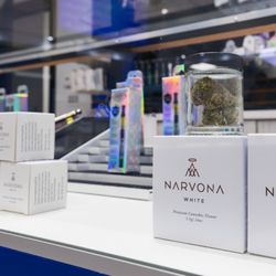 Xplore Cannabis