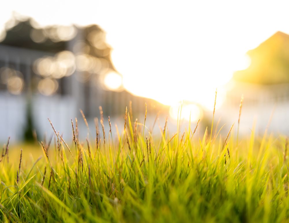 SeniCare - home care agency in Holyoke, MA