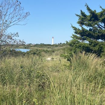 Cape May Point State Park - View Of Wetlands - Parks Near Me Cape May Point State Park - View Of Wetlands - Parks Near Me