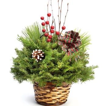 Evergreen Industries - Centerpiece - Florists Near Me - Inver Grove Heights, Minnesota Evergreen Industries - Centerpiece - Florists Near Me - Inver Grove Heights, Minnesota