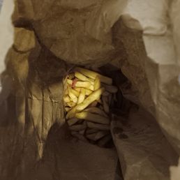 french fries in a paper bag french fries in a paper bag