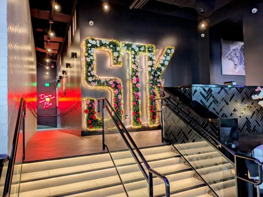 STK Steakhouse by null