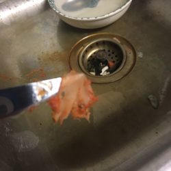 Little Caesars - Garbage in food
