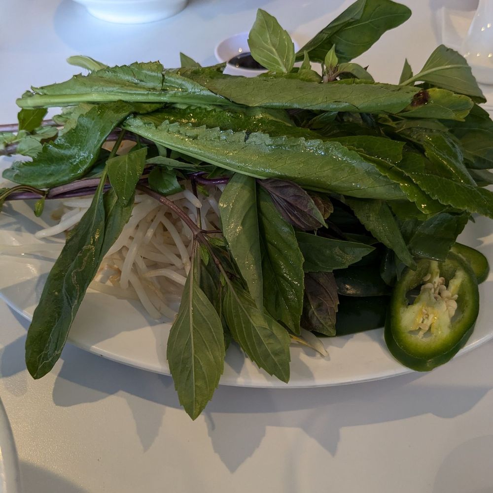 Pho Dao Restaurant - Vietnamese Near Me - San Jose, California Pho Dao Restaurant - Vietnamese Near Me - San Jose, California