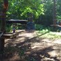 Photo of Mini Monkey Kletterwald