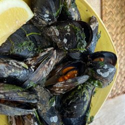O Pescador Benagil - Muscles