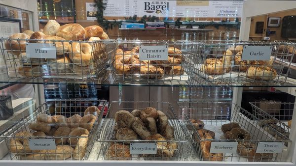 Auburn Bagel Company by null