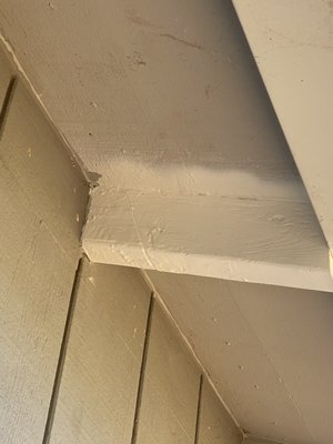 THRASHER TERMITE & PEST CONTROL - Updated January 2025 - 27 Photos