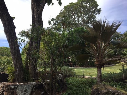 Mānoa Heritage Center by null