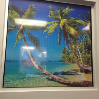 SpeedPro Imaging Services Group - Window perf on office window. Great for privacy! - Printing Services Near Me - Totowa, New Jersey