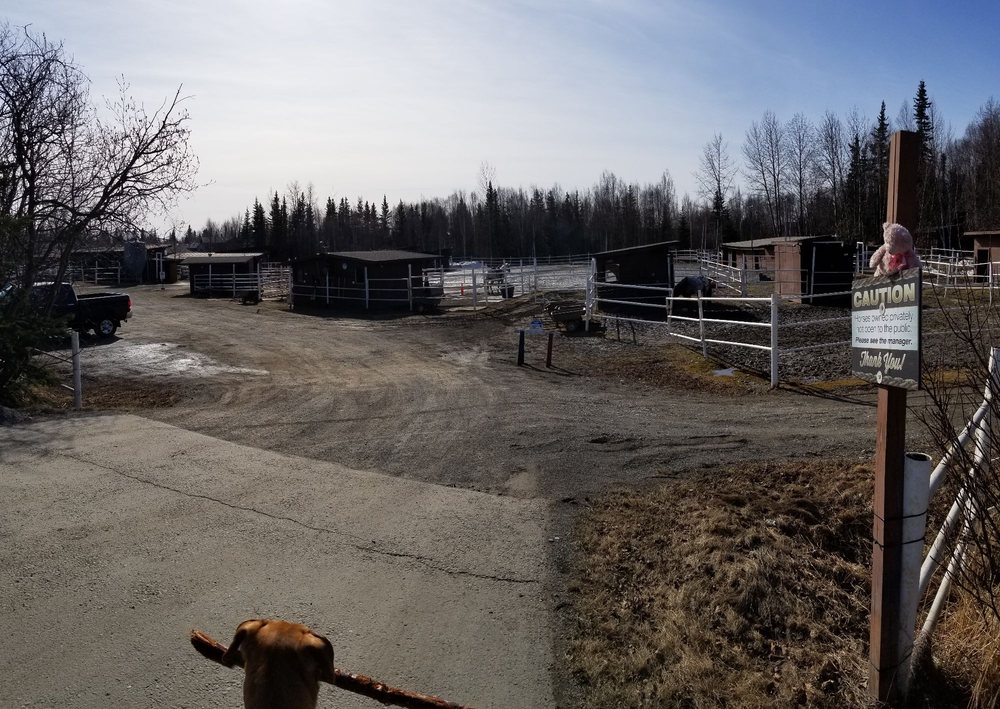 F-Bar-J Ranch - equestrian in Anchorage, AK