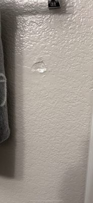 Lido at Shandin Hills by null