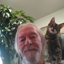 Lakeshore Humane Society - Isis after her stroke