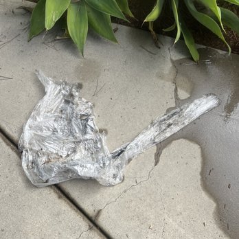 SoCal Seamless - Here are photos of the plastic that was shoved into the pipe. - Gutter Services Near Me SoCal Seamless - Here are photos of the plastic that was shoved into the pipe. - Gutter Services Near Me