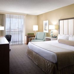 DoubleTree by Hilton Hotel Jacksonville Riverfront - Guest room