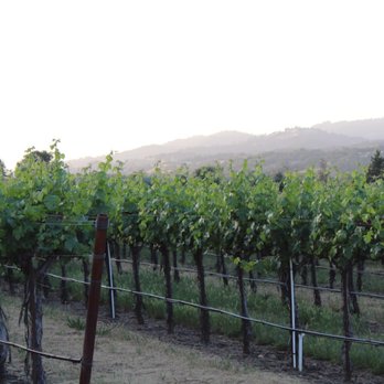 Geyserville Inn - Hotels Near Me - Geyserville, California Geyserville Inn - Hotels Near Me - Geyserville, California