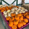 Davis Family Farm gift card
