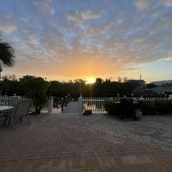 Every morning from our door step.