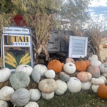 Evans Family Farm - Closed Sundays - Pumpkin Patches Near Me - Lehi, Utah Evans Family Farm - Closed Sundays - Pumpkin Patches Near Me - Lehi, Utah