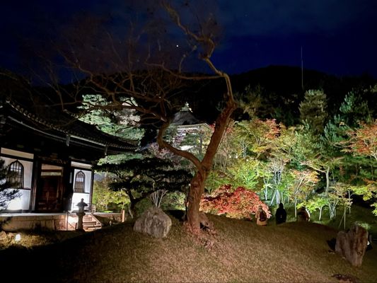 Kōdaiji Temple by null