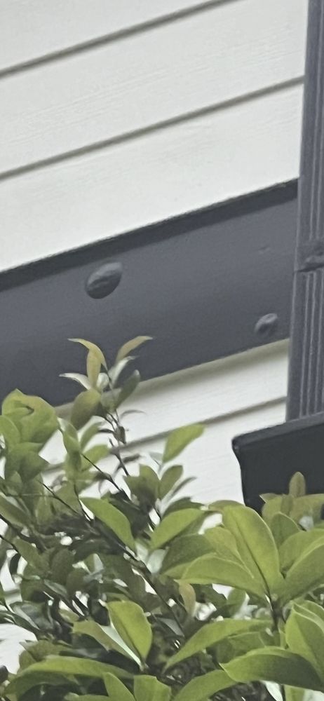 Slide of GE Goliath Exteriors