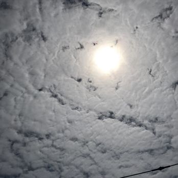 Hiram M Chittenden Locks - Landmarks & Historical Buildings Near Me - Seattle, Washington
