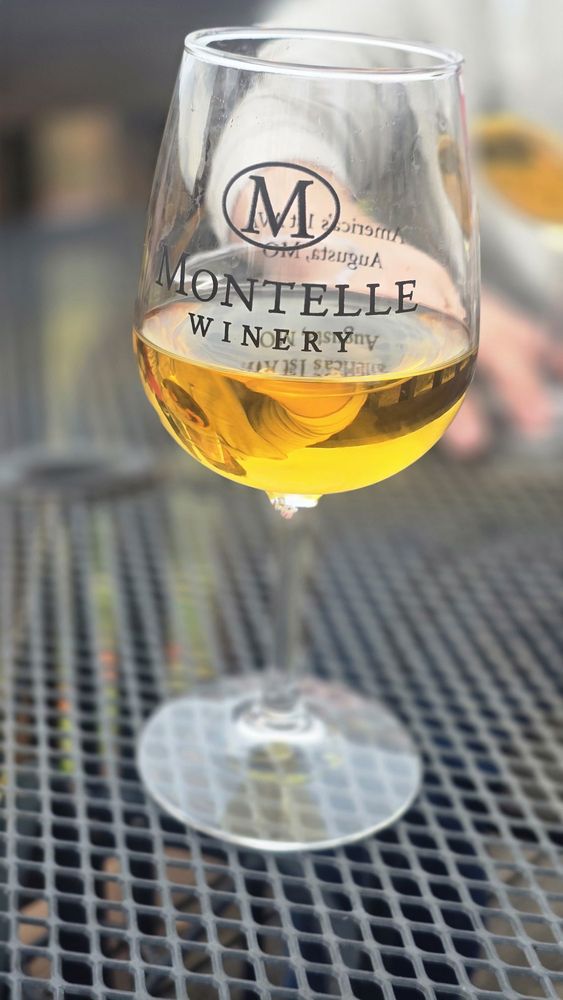 Montelle Winery - vineyard in Augusta, MO
