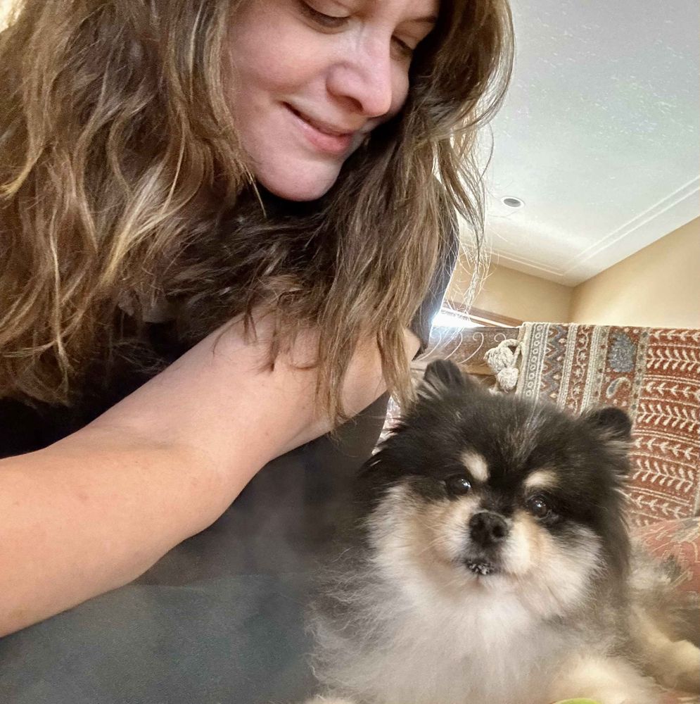Como Park Animal Hospital - pet boarding facility in Roseville, MN