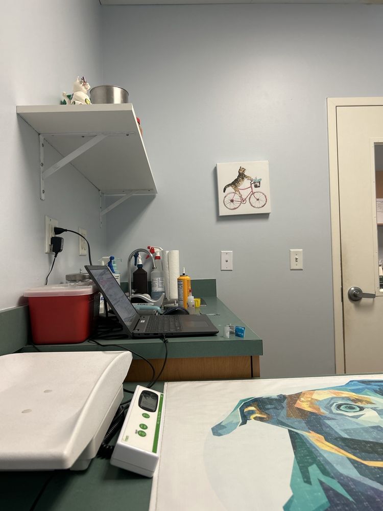 Bees Ferry Veterinary Hospital - pet boarding facility in Charleston, SC