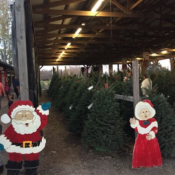 Owasso Christmas Tree And Berry Farm - Christmas Trees Near Me - Owasso, Oklahoma Owasso Christmas Tree And Berry Farm - Christmas Trees Near Me - Owasso, Oklahoma