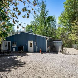 Royal Kennels - indoor/outdoor runs dogs are never caged or locked inside or outside