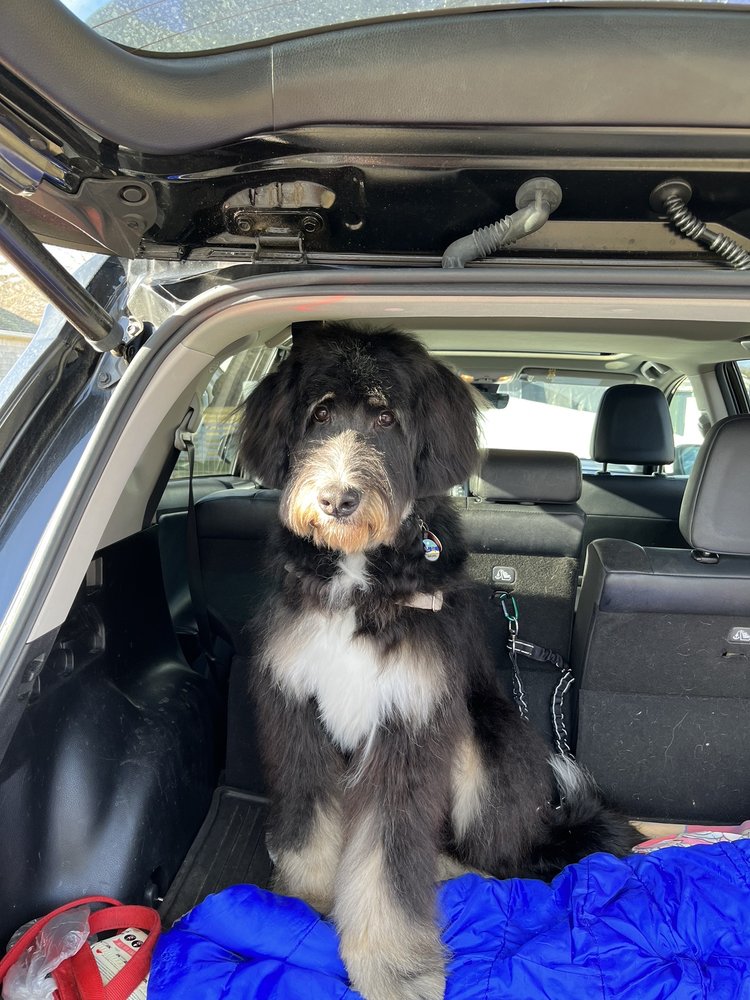 GROOMING AT SCARLET FARM Updated October 2024 15 Reviews 220