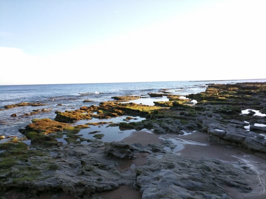 Playa de los Caños de Meca by null