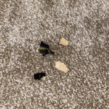 Sunset Moving Solutions - The chips of furniture they left on the rug. - Movers Near Me - Miami, Florida