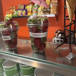 Paleteria y Helados Magic - Small or Large Cup which one you like ?