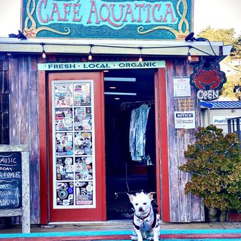 Cafe Aquatica - Enjoying the river and some coffee - Coffee & Tea Near Me - Jenner, California