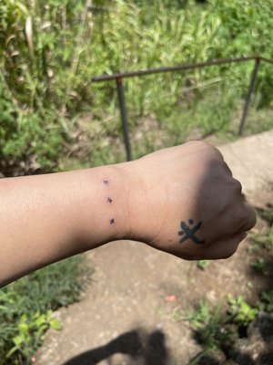 Apo Whang Od (Legendary Filipino Tattoo Artist) by null