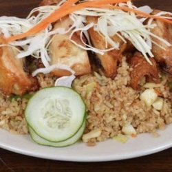 Ann's Roti Shop - Chicken Fried Rice