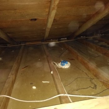 Attic Pros - after cleaning out the old cellulose - Pest Control Near Me - Oakland, California
