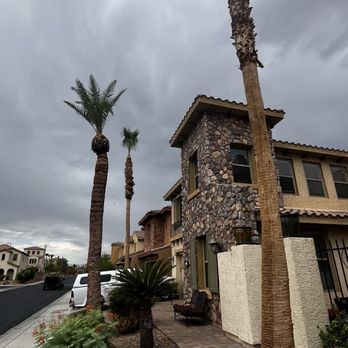 Desert Oasis Landscaping - Three palms taller than house! - Landscaping Near Me - Las Vegas, Nevada