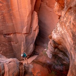 Rock Odysseys - Rappel on a guided Zion full day canyoneering tour with Rock Odysseys