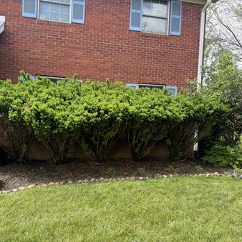 Gentry & Sons - Tree Services Near Me Gentry & Sons - Tree Services Near Me