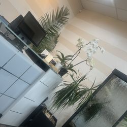 UP WELLNESS SPA