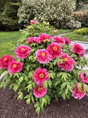 Hillsborough Irrigation & Landscape Services