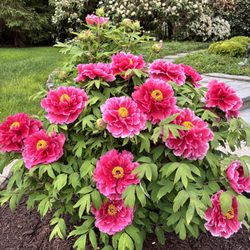 Hillsborough Irrigation & Landscape Services