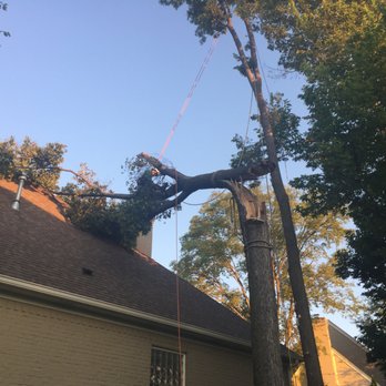 JT Tree Service - Large tree falls on home during storm - Tree Services Near Me - Indianapolis, Indiana