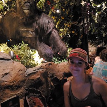 Rainforest Cafe - Britt and Butch - American Near Me - San Antonio, Texas Rainforest Cafe - Britt and Butch - American Near Me - San Antonio, Texas