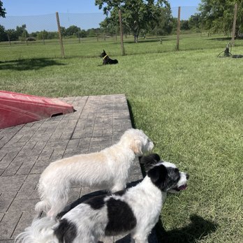 KT Dog Ranch and Kennel - Pet Boarding Near Me - Katy, Texas KT Dog Ranch and Kennel - Pet Boarding Near Me - Katy, Texas